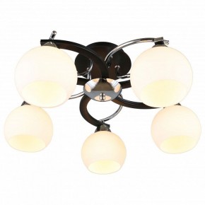 Потолочная люстра Omnilux Caldiero OML-25407-05 в Режи - rezh.mebel24.online | фото 2