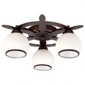 Потолочная люстра Omnilux Fronteira OML-50507-03 в Режи - rezh.mebel24.online | фото