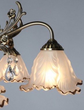 Потолочная люстра Omnilux Petrara OML-54807-05 в Режи - rezh.mebel24.online | фото 3