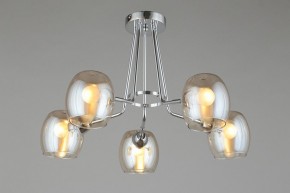 Потолочная люстра Omnilux Tesero OML-27307-05 в Режи - rezh.mebel24.online | фото 6