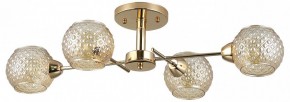Потолочная люстра Rivoli Amalia Б0050815 в Режи - rezh.mebel24.online | фото