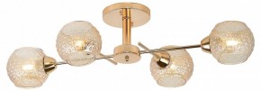 Потолочная люстра Rivoli Amalia Б0050815 в Режи - rezh.mebel24.online | фото 2