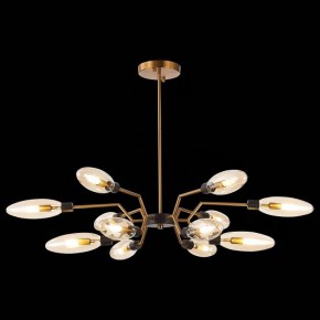 Потолочная люстра ST-Luce Desima SL1174.303.12 в Режи - rezh.mebel24.online | фото 2
