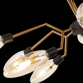 Потолочная люстра ST-Luce Desima SL1174.303.12 в Режи - rezh.mebel24.online | фото 9