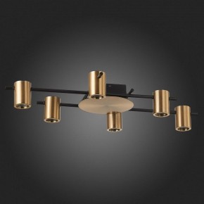 Потолочная люстра ST-Luce Veroli SL1207.402.06 в Режи - rezh.mebel24.online | фото 4