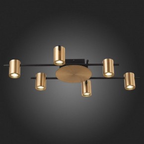 Потолочная люстра ST-Luce Veroli SL1207.402.06 в Режи - rezh.mebel24.online | фото 6