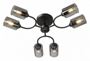Потолочная люстра Vitaluce V2823 V2823-1/6PL в Режи - rezh.mebel24.online | фото 2