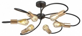 Потолочная люстра Vitaluce V3076 V3076-1/6PL в Режи - rezh.mebel24.online | фото 3