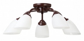 Потолочная люстра Vitaluce V3184 V3252/5PL в Режи - rezh.mebel24.online | фото