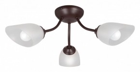 Потолочная люстра Vitaluce V3184 V3404/3PL в Режи - rezh.mebel24.online | фото