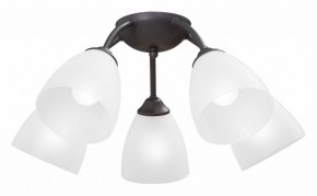 Потолочная люстра Vitaluce V3184 V3737-2/5PL в Режи - rezh.mebel24.online | фото