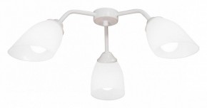 Потолочная люстра Vitaluce V31950 V31950/3PL в Режи - rezh.mebel24.online | фото