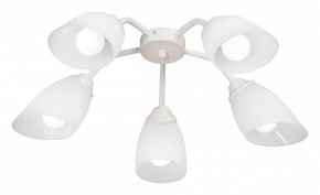 Потолочная люстра Vitaluce V31950 V31950/5PL в Режи - rezh.mebel24.online | фото