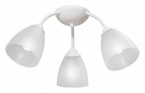 Потолочная люстра Vitaluce V3737 V3737-0/3PL в Режи - rezh.mebel24.online | фото