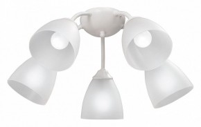 Потолочная люстра Vitaluce V3737 V3737-0/5PL в Режи - rezh.mebel24.online | фото