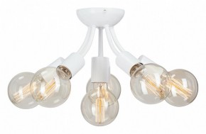 Потолочная люстра Vitaluce V3927 V3927-0/6PL в Режи - rezh.mebel24.online | фото