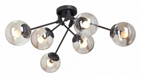 Потолочная люстра Vitaluce  V4323-1/6PL в Режи - rezh.mebel24.online | фото