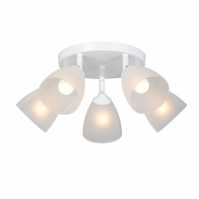 Потолочная люстра Vitaluce V4355 V4355-0/5PL в Режи - rezh.mebel24.online | фото 2