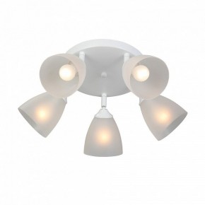 Потолочная люстра Vitaluce V4355 V4355-0/5PL в Режи - rezh.mebel24.online | фото 3