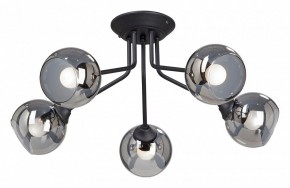 Потолочная люстра Vitaluce  V4724-1/5PL в Режи - rezh.mebel24.online | фото