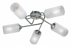 Потолочная люстра Vitaluce  V4909-9/5PL в Режи - rezh.mebel24.online | фото