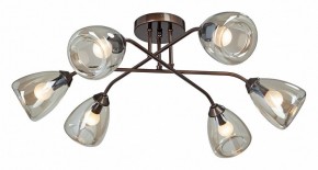 Потолочная люстра Vitaluce  V4954-7/6PL в Режи - rezh.mebel24.online | фото