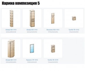 Прихожая Карина (модульная) в Режи - rezh.mebel24.online | фото 2