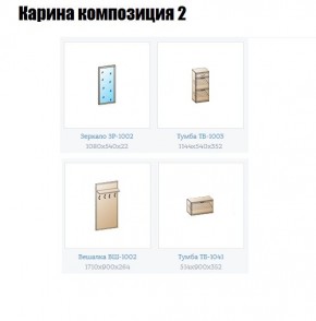 Прихожая Карина (модульная) в Режи - rezh.mebel24.online | фото 6