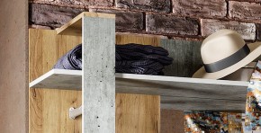 Прихожая Кензо (крафт/бетон) вешалка+шкаф в Режи - rezh.mebel24.online | фото 6