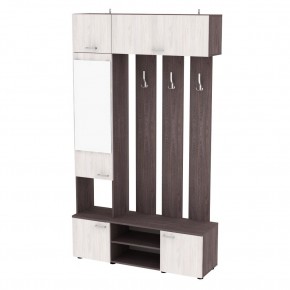 Прихожая с зеркалом V23_M (ЯАТ-ЯАС) в Режи - rezh.mebel24.online | фото
