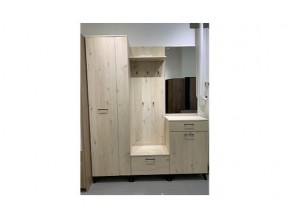 Прихожая София в Режи - rezh.mebel24.online | фото 3