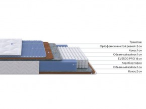 PROxSON Матрас Active Duo M/F (Ткань Трикотаж Эко) 120x200 в Режи - rezh.mebel24.online | фото 1