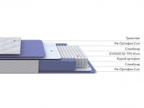 PROxSON Матрас Active F (Ткань Трикотаж Эко) 120x190 в Режи - rezh.mebel24.online | фото 2