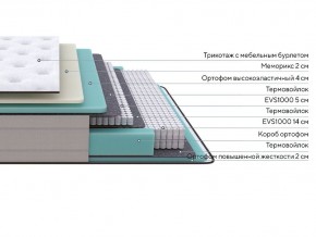 PROxSON Матрас Elysium Soft (Трикотаж Spiral-RT) 80x195 в Режи - rezh.mebel24.online | фото 2