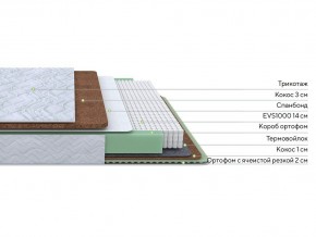 PROxSON Матрас Green Duo M/F (Tricotage Dream) 200x190 в Режи - rezh.mebel24.online | фото 3