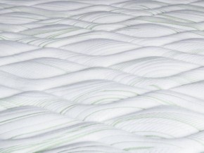 PROxSON Матрас Green S (Tricotage Dream) 80x200 в Режи - rezh.mebel24.online | фото 9