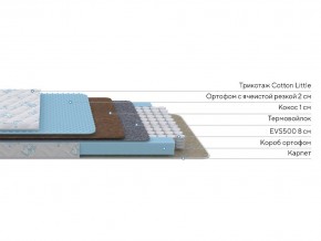 PROxSON Матрас Совенок (Cotton Little PROSON) 70x170 в Режи - rezh.mebel24.online | фото 2