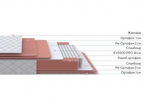 PROxSON Матрас Standart Plus M (Ткань Жаккард) 160x200 в Режи - rezh.mebel24.online | фото 3