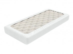 PROxSON Защитный чехол Aqua Save Light S (Ткань влагостойкая Tencel Jersey) 120x200 в Режи - rezh.mebel24.online | фото 2