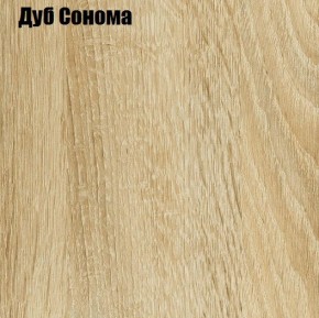 ЧЕЛСИ Шкаф 2-х створчатый платяной + Антресоль к шкафу 800 в Режи - rezh.mebel24.online | фото 4
