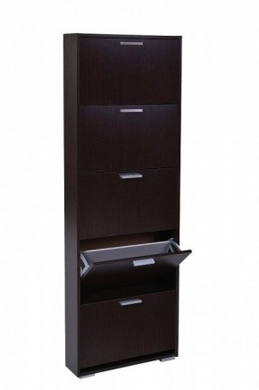 Шкаф для обуви УК-5 10000130 в Режи - rezh.mebel24.online | фото