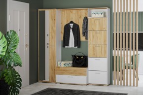 Шкаф для одежды НМ 013.40 "Санти" (Белый/Крафт Золотой) в Режи - rezh.mebel24.online | фото 3