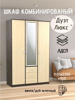 Шкаф комбинированный Дуэт Люкс с зеркалом в Режи - rezh.mebel24.online | фото 3