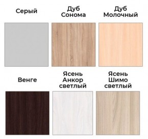 Шкаф-купе ХИТ 22-18-888 (620) в Режи - rezh.mebel24.online | фото 3