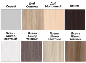 Шкаф-купе ХИТ 22-4-15-88 (420) в Режи - rezh.mebel24.online | фото 3