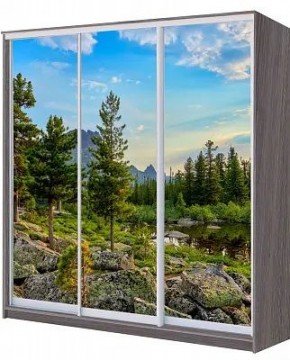 Шкаф-купе ХИТ 22-4-20/2-777 ПРИРОДА в Режи - rezh.mebel24.online | фото