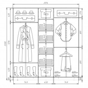 Шкаф-купе ХИТ 22-4-20-555 (420) в Режи - rezh.mebel24.online | фото 2