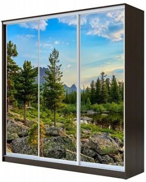 Шкаф-купе ХИТ 23-18/2-777 ПРИРОДА в Режи - rezh.mebel24.online | фото