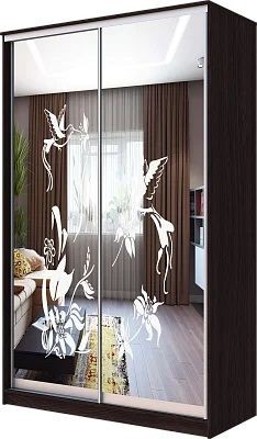 Шкаф-купе ХИТ 23-4-12/2-66 КОЛИБРИ в Режи - rezh.mebel24.online | фото