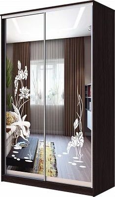 Шкаф-купе ХИТ 23-4-12-66 ЦАПЛИ в Режи - rezh.mebel24.online | фото